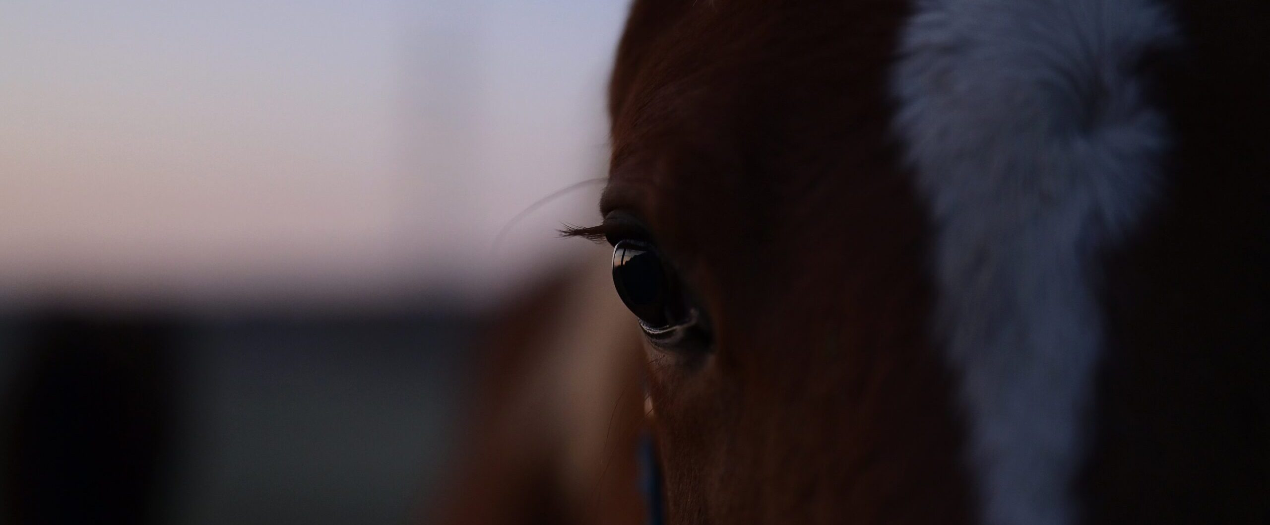 画像：メインイメージ