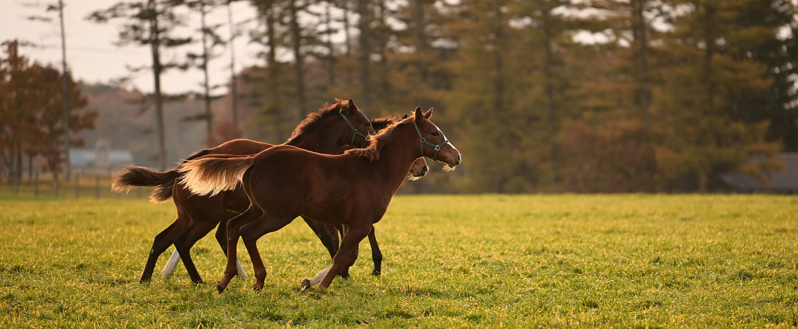 画像：メインイメージ