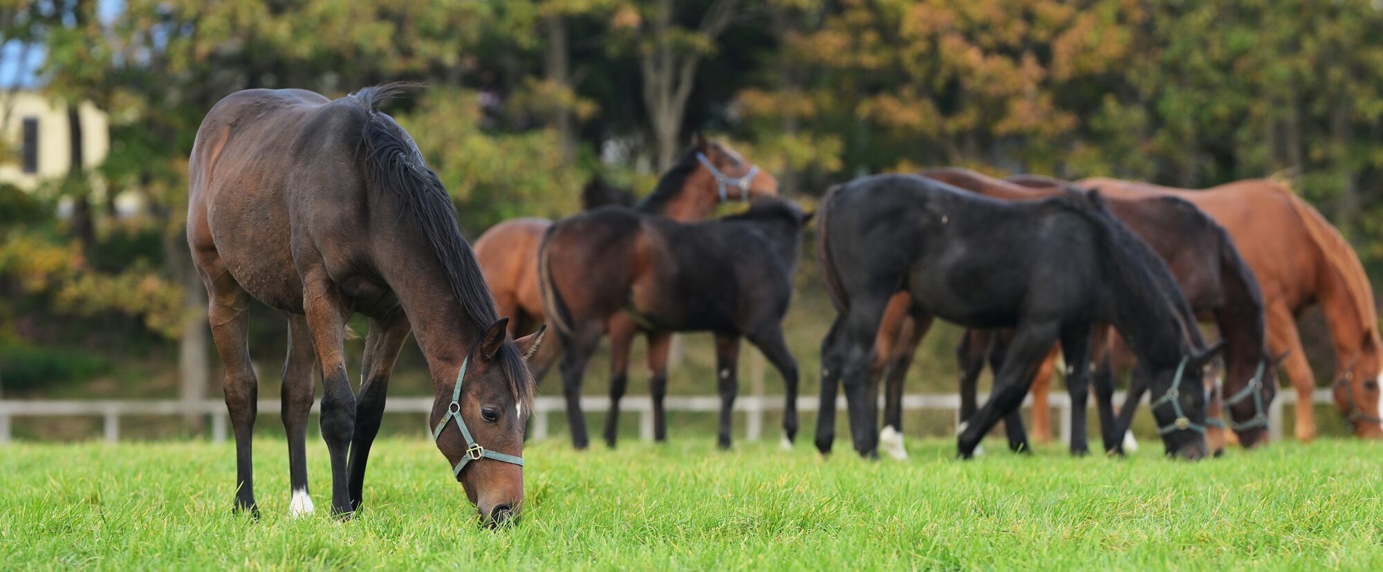 画像：メインイメージ