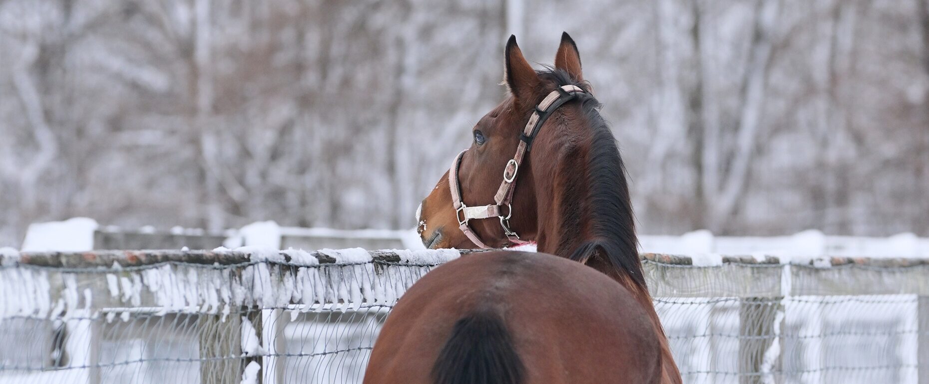 画像：メインイメージ