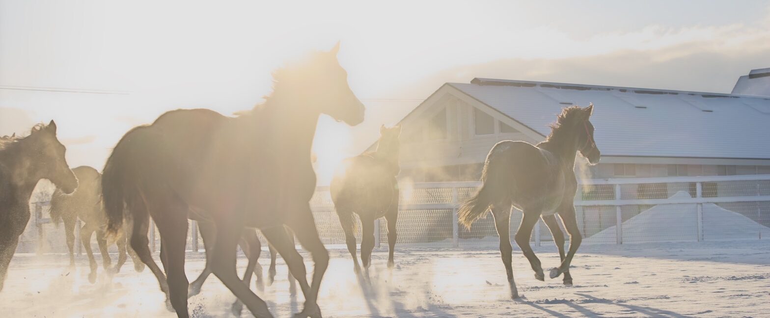 画像：メインイメージ
